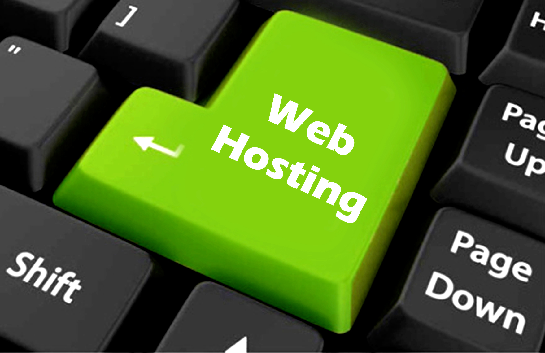 Major Types of Web Hosting