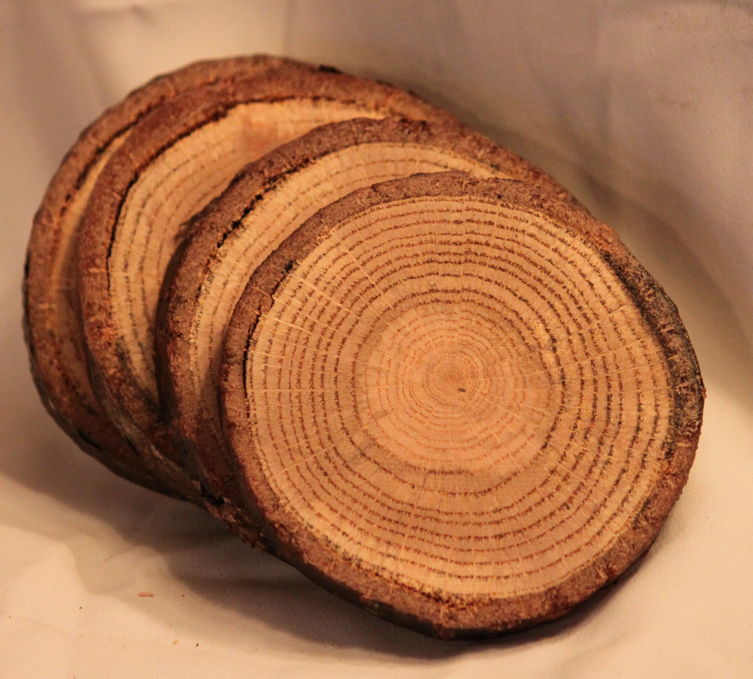 Designing Promotional Drink Coasters