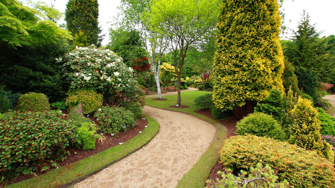 Finding a Good Landscaping Company