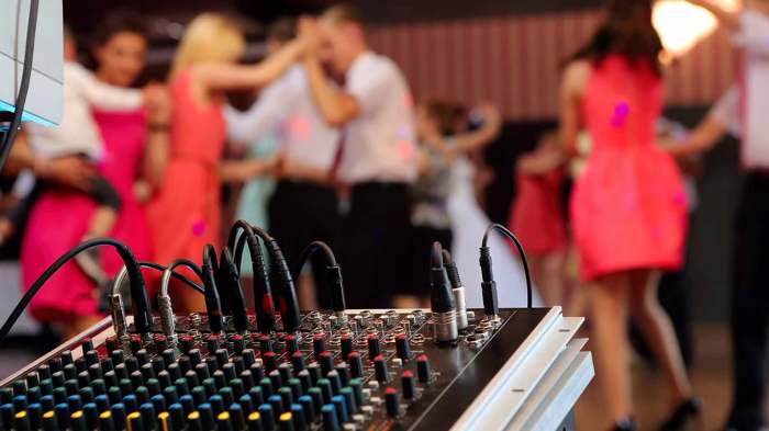 The Pros and Cons of Using Wedding DJs