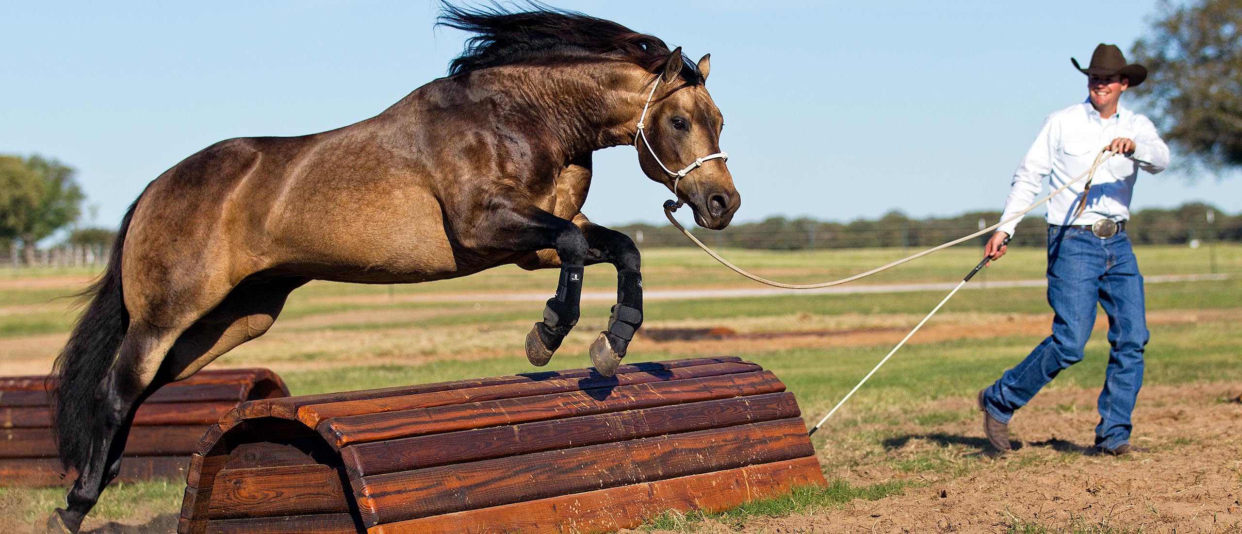 What Does Owning A Horse Really Cost?