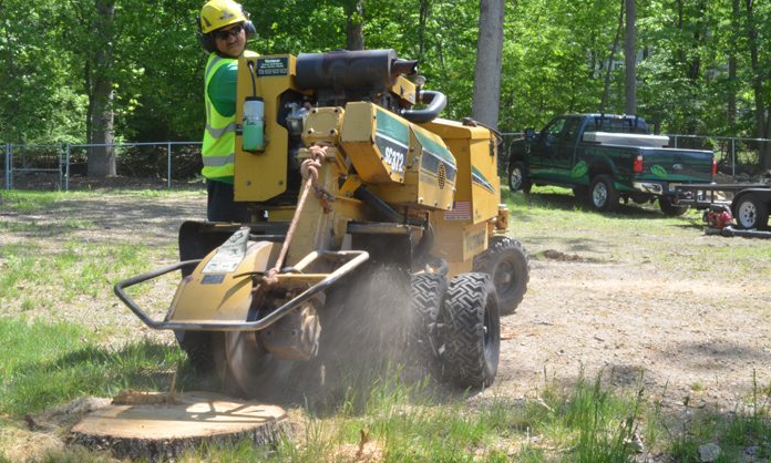 User Friendly Ways To Use Gold Coast Stump Grinding