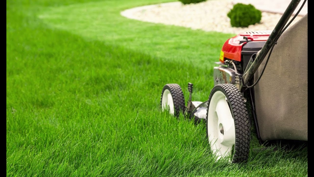 Top Reasons You Need Professional Acreage Mowing Gold Coast