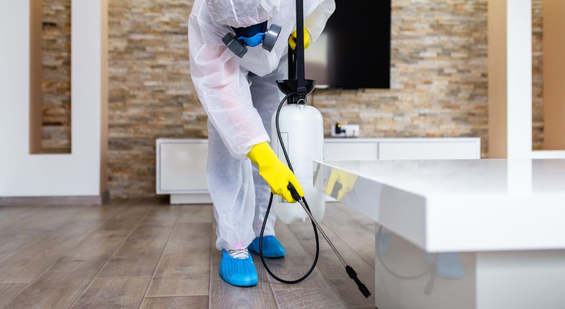 How Often Should You Schedule a Pest Inspection in Gold Coast?