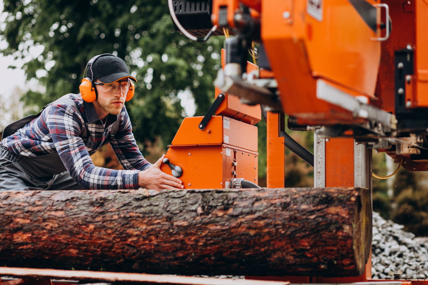 Gold Coast Tree Removal: The Importance of Timely Hiring